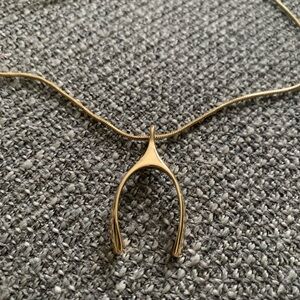 Elegant Gold Wishbone Necklace
